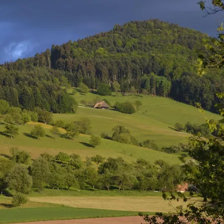 Apartment Haus Reichenbach Glottertal