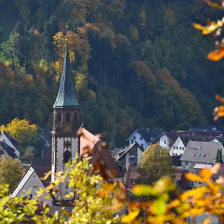 Apartment Haus Reichenbach *